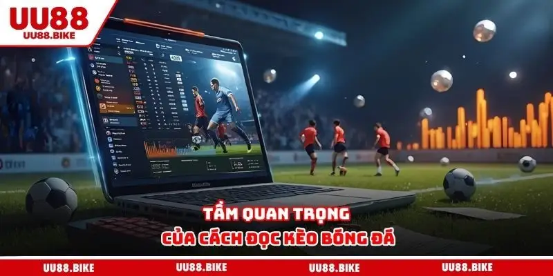 Tầm quan trọng của cách đọc kèo bóng đá