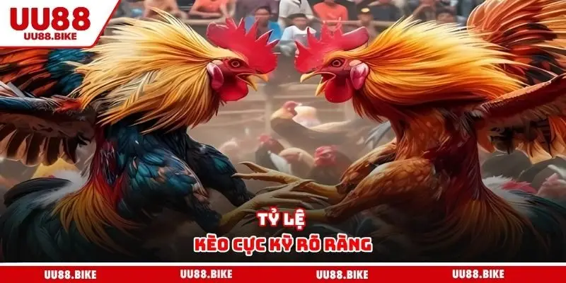 Tỷ lệ kèo cực kỳ rõ ràng