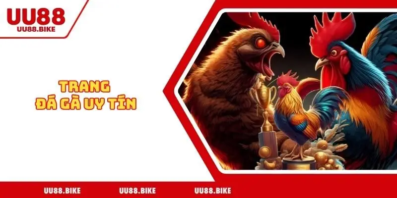 Trang đá gà uy tín